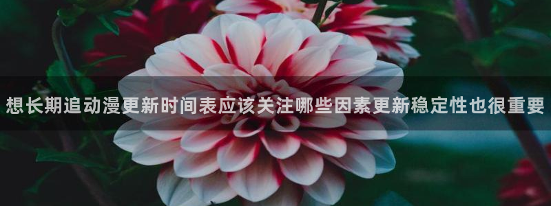 奇漫屋最新新作:想长期追动漫更新时间表应该关注哪些因素更新稳定性也很重要配图